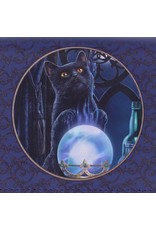 NemesisNow Fantasy portemonnees - The Witches Apprentice Reliëf Portemonnee Lisa Parker