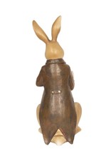 C&E Giftware & Lifestyle - Rabbit in jacket and waistcoat reads a book - 40cm