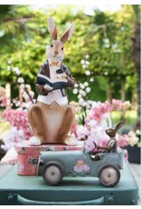C&E Giftware & Lifestyle - Rabbit in jacket and waistcoat reads a book - 40cm