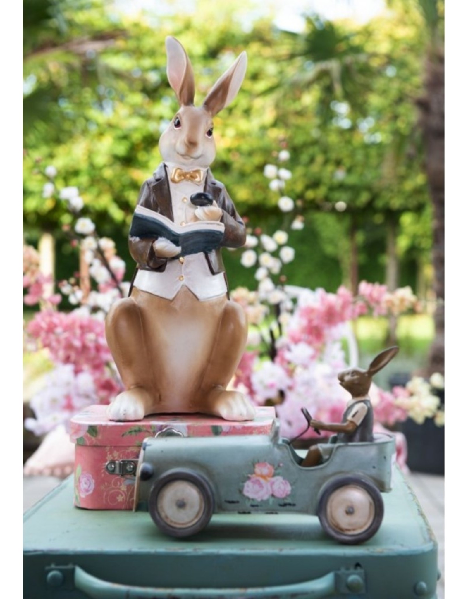 C&E Giftware & Lifestyle - Rabbit in jacket and waistcoat reads a book - 40cm