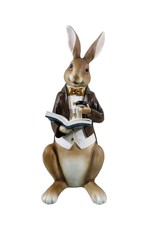 C&E Giftware & Lifestyle - Rabbit in jacket and waistcoat reads a book - 40cm