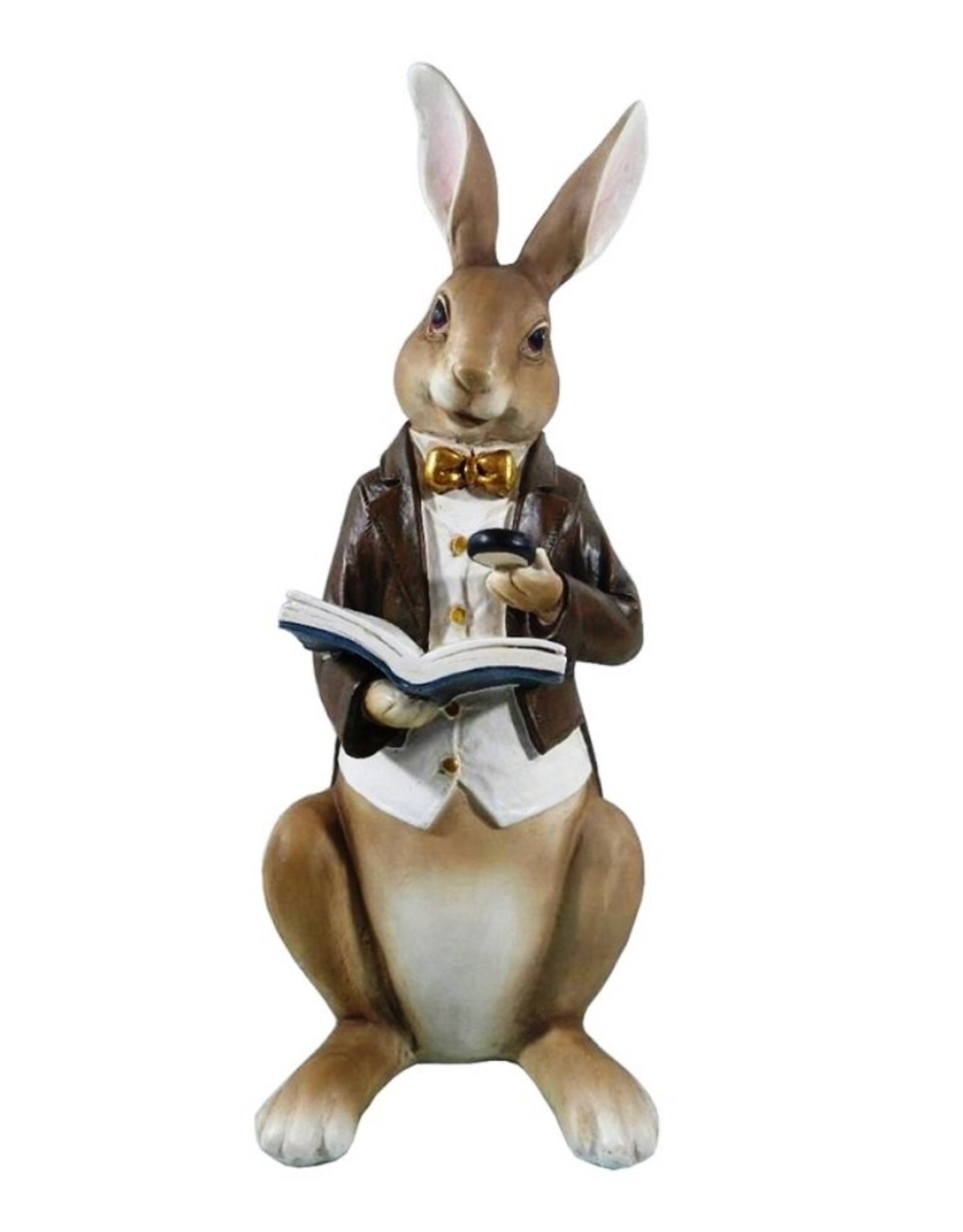 C&E Giftware & Lifestyle - Rabbit in jacket and waistcoat reads a book - 40cm