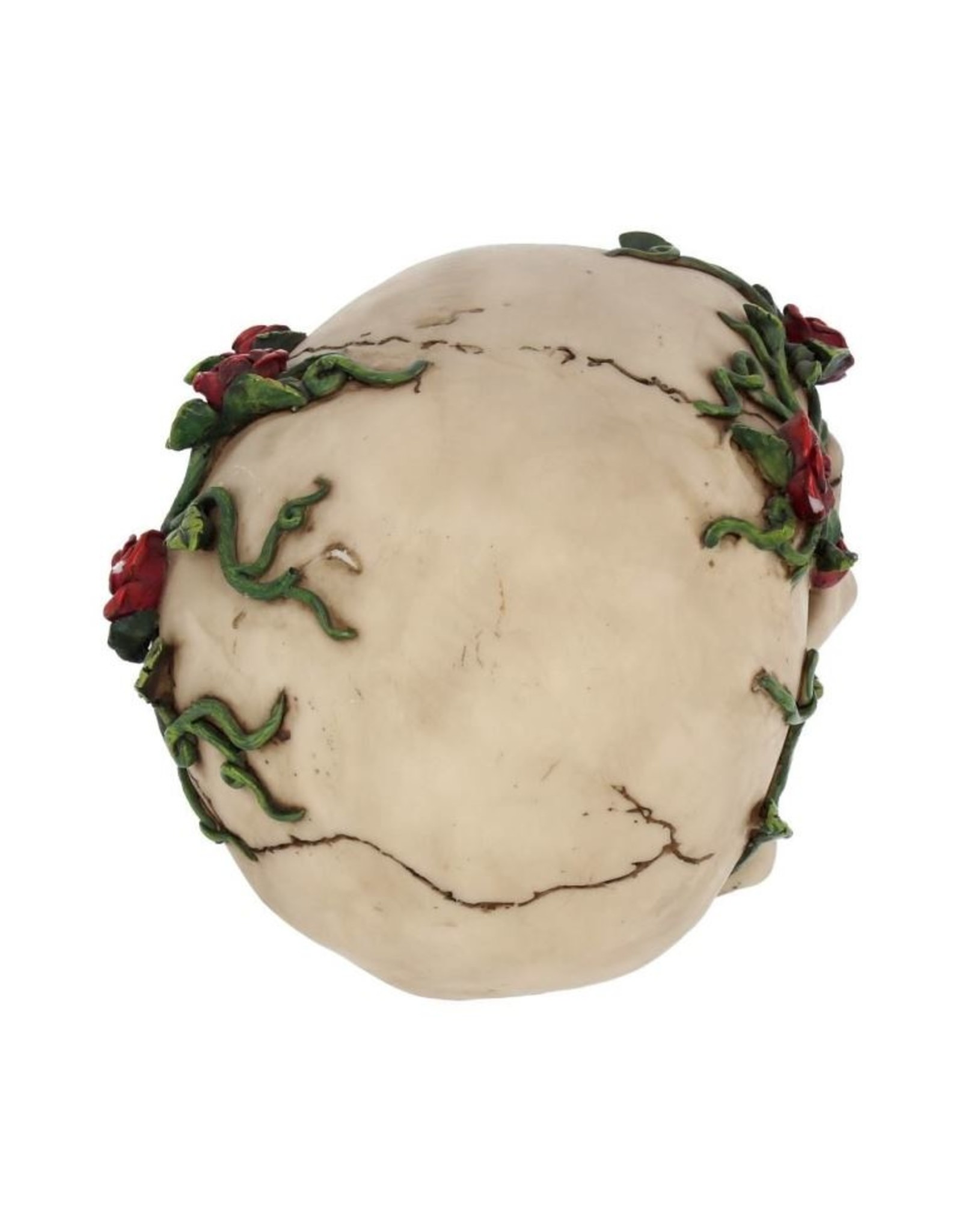 Alator  Reapers, skulls and dragons - Rose Vine Covered Skull Figurine Rose From Beyond 15cm