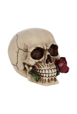 Alator  Reapers, skulls and dragons - Skull with a Rose - Rose From the Dead 15cm