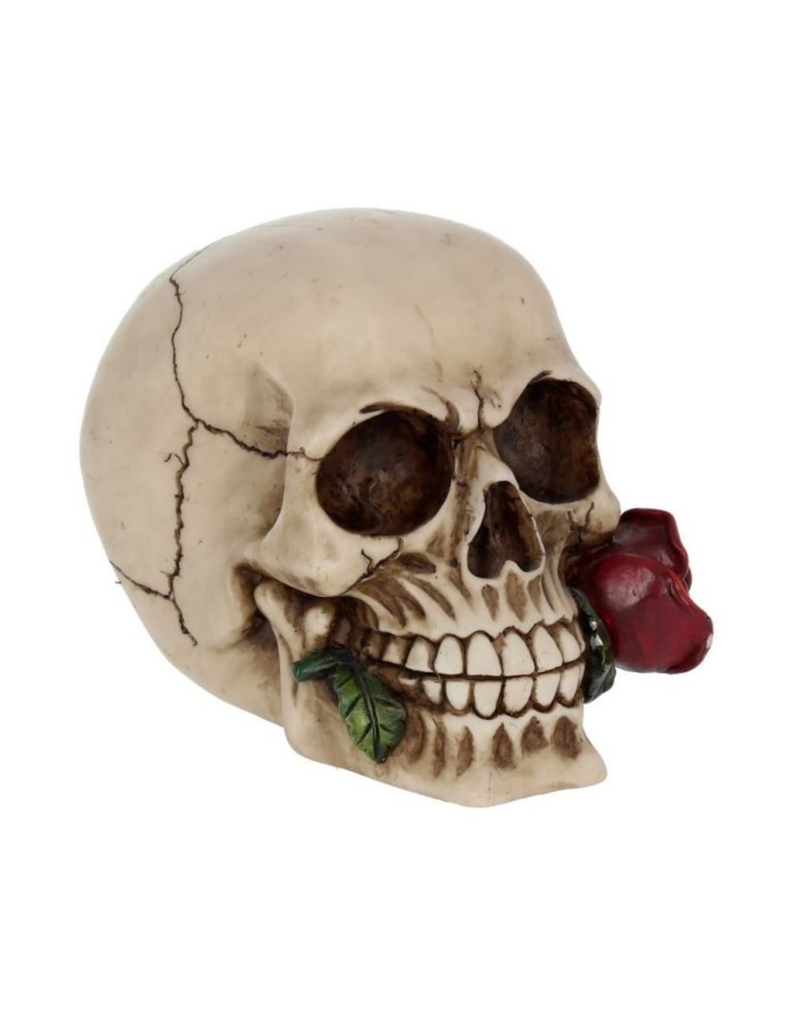 Alator  Reapers, skulls and dragons - Skull with a Rose - Rose From the Dead 15cm