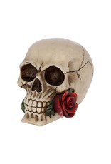 Alator  Reapers, skulls and dragons - Skull with a Rose - Rose From the Dead 15cm