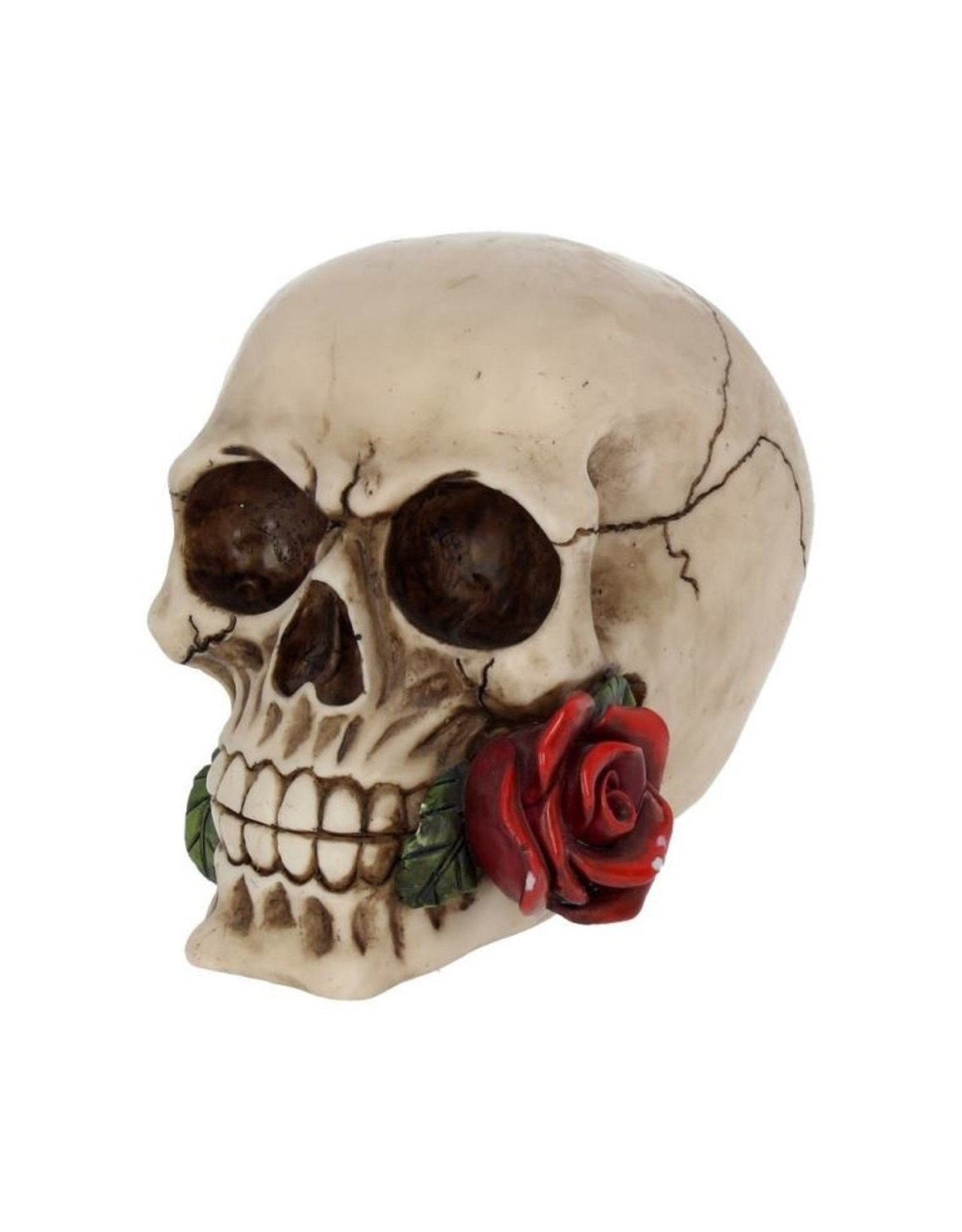 Alator  Reapers, skulls and dragons - Skull with a Rose - Rose From the Dead 15cm