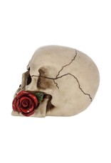 Alator Reapers, Schedels en Draken - Schedel met Roos - Rose From the Dead 15cm