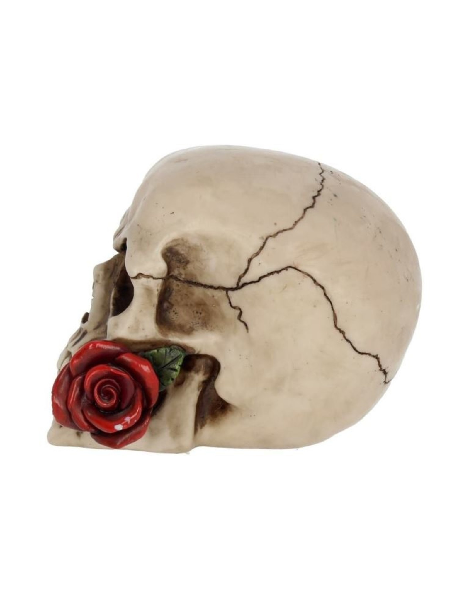 Alator  Reapers, skulls and dragons - Skull with a Rose - Rose From the Dead 15cm