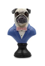 Bentley&Bo Giftware & Lifestyle -   Pug in Suit bust 23.5cm