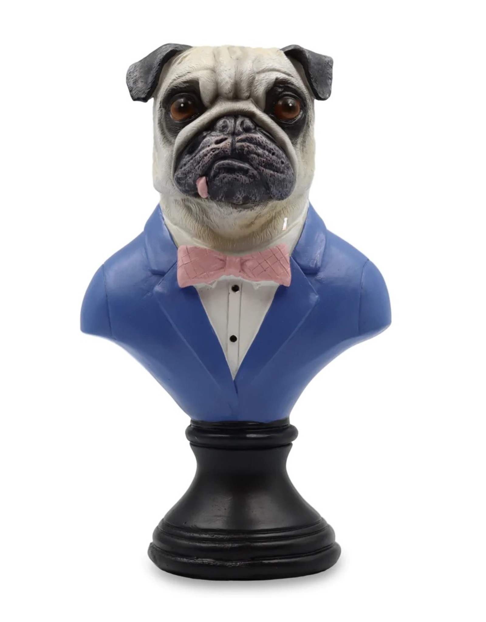 Bentley&Bo Giftware & Lifestyle -   Pug in Suit bust 23.5cm