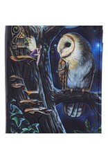 NemesisNow Gothic wallets and purses - Fairy Tales Embossed Purse Lisa Parker Fairy and Owl
