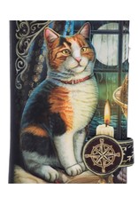 NemesisNow Gothic wallets and purses - Lisa Parker Adventure Awaits Calico Cat Ship Embossed Purse