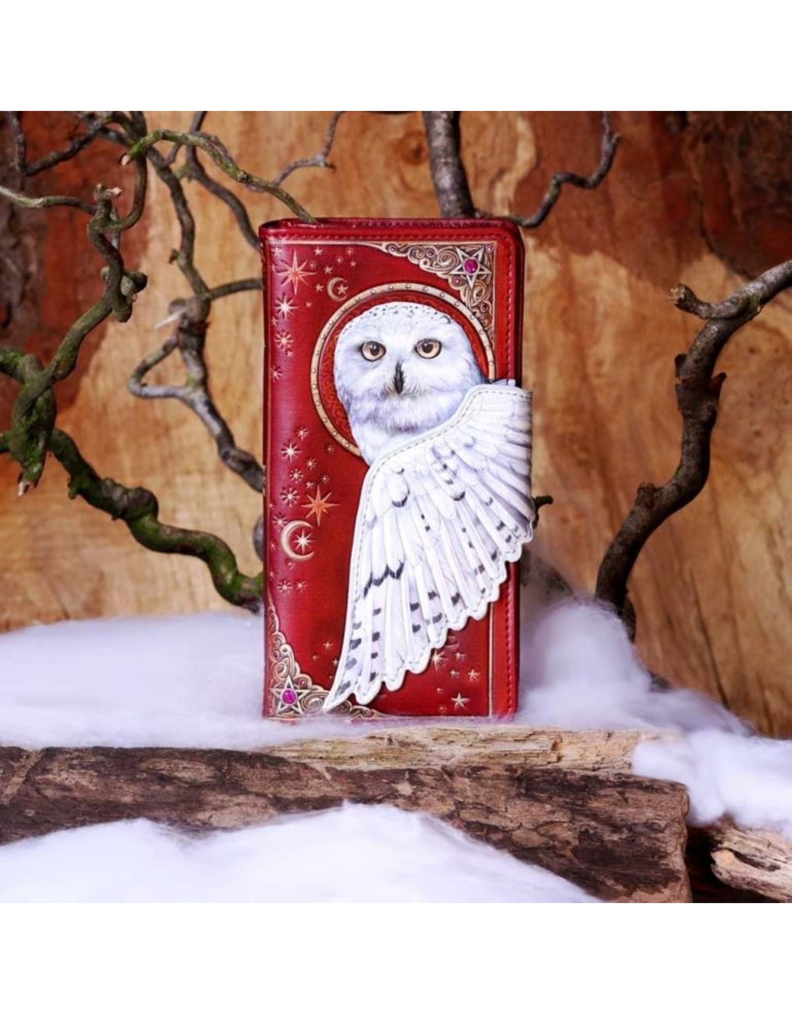 NemesisNow Gothic wallets and purses - Magical Flight Owl Embossed Purse Nemesis Now