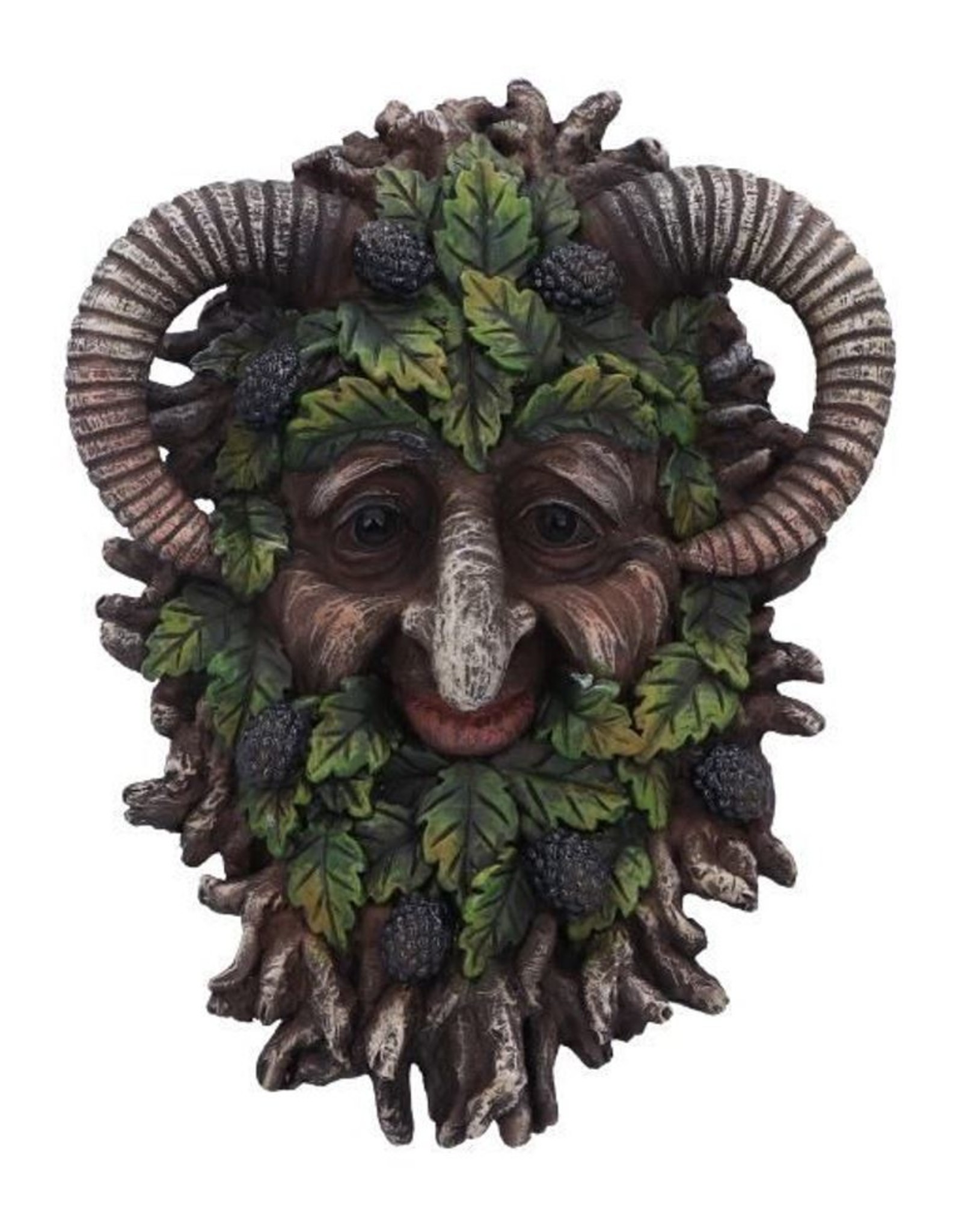 NemesisNow Miscellaneous - Spruce Wall Mounted Tree Spirit Wall Plaque 20.8cm