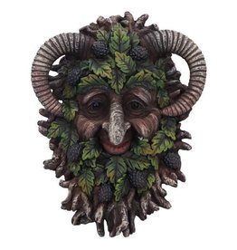 NemesisNow Spruce Wall Mounted Tree Spirit Wall Plaque 20.8cm