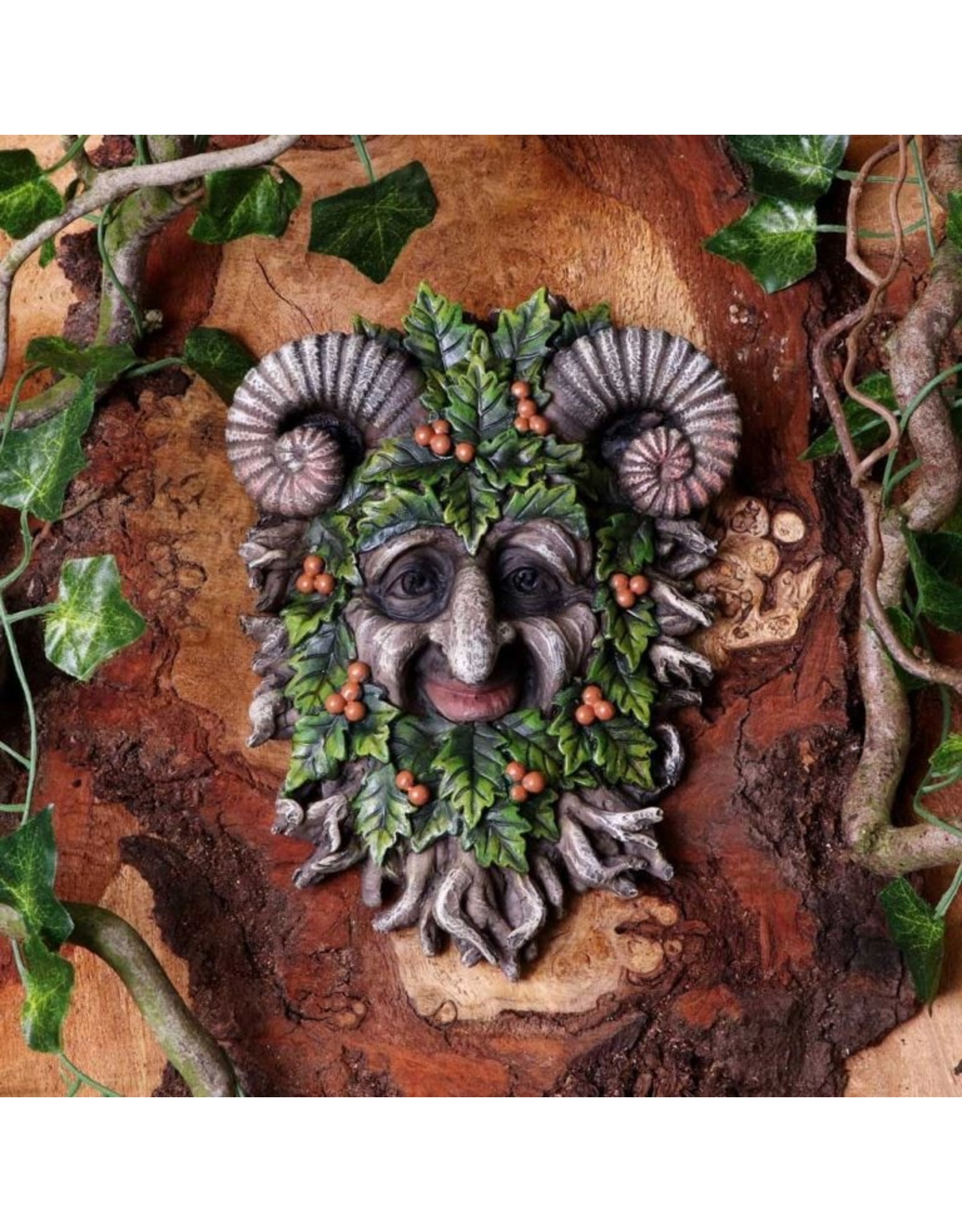 NemesisNow Miscellaneous - Rawan Wall Mounted Tree Spirit 21.3cm