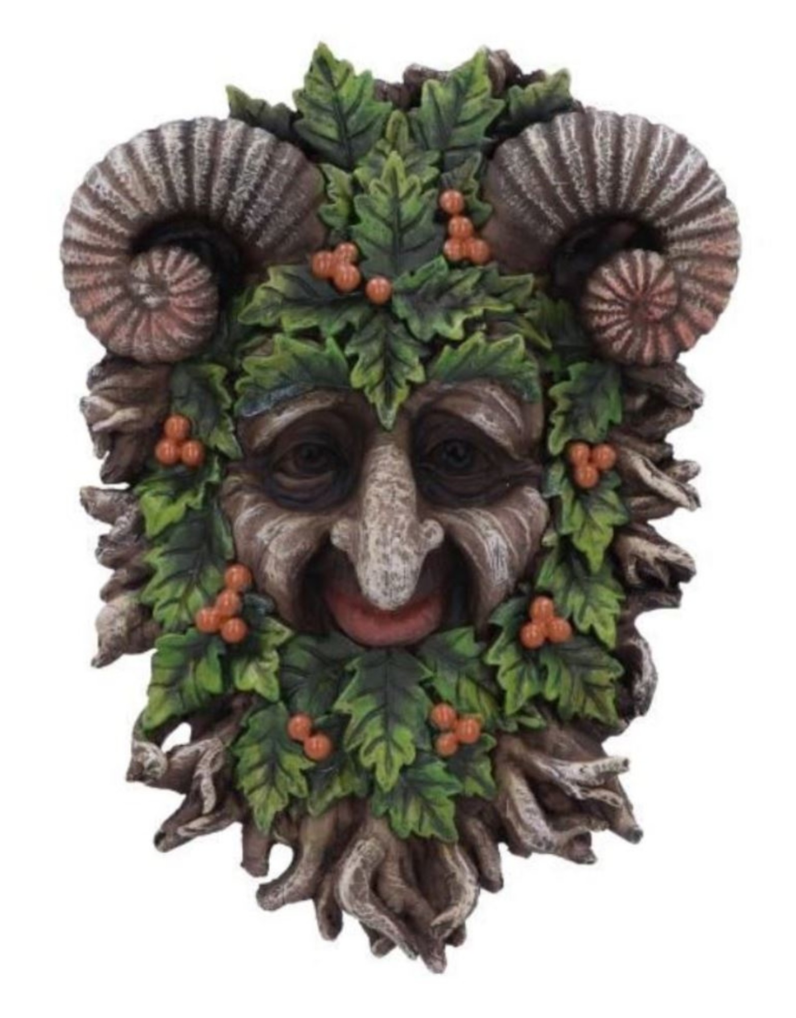 NemesisNow Miscellaneous - Rawan Wall Mounted Tree Spirit 21.3cm