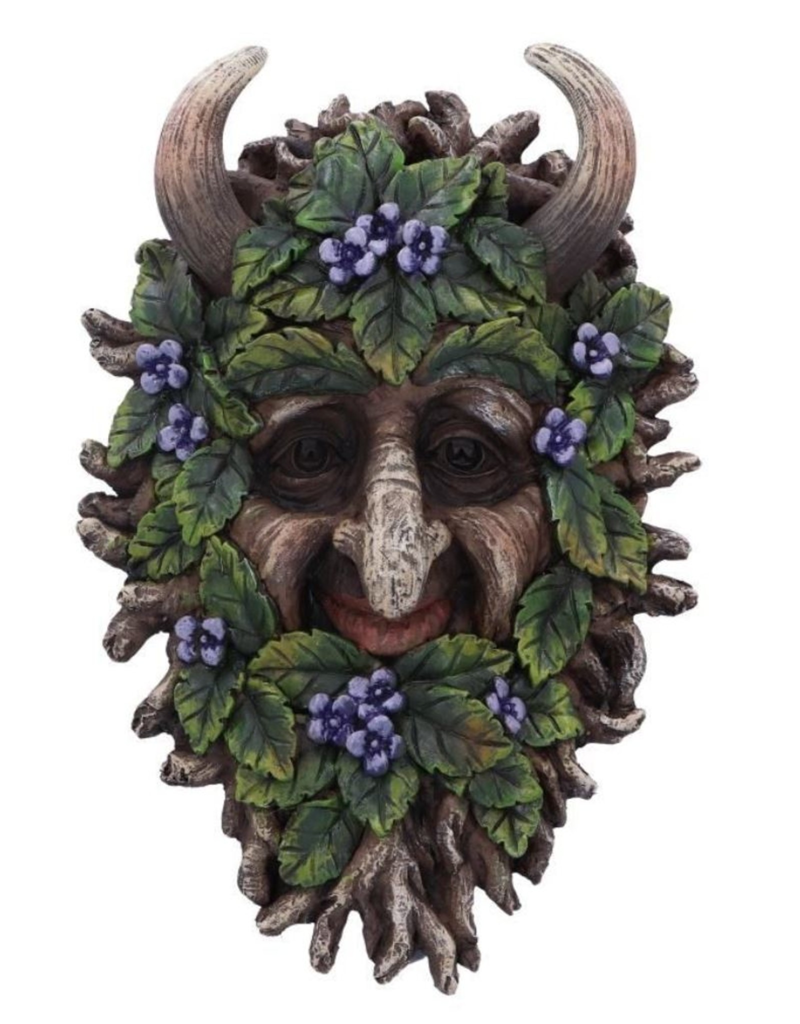 NemesisNow Miscellaneous - Alder Wall Mounted Tree Spirit 20.2cm