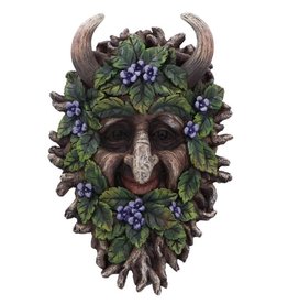 NemesisNow Alder Wall Mounted Tree Spirit 20.2cm