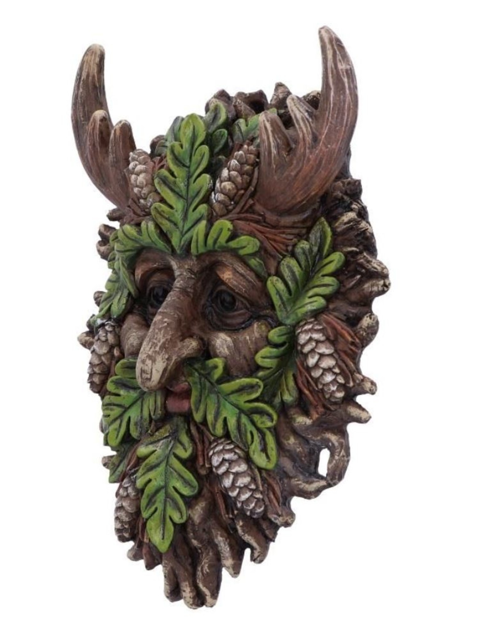 NemesisNow Miscellaneous - Bryn Wall Mounted Tree Spirit 20.8cm