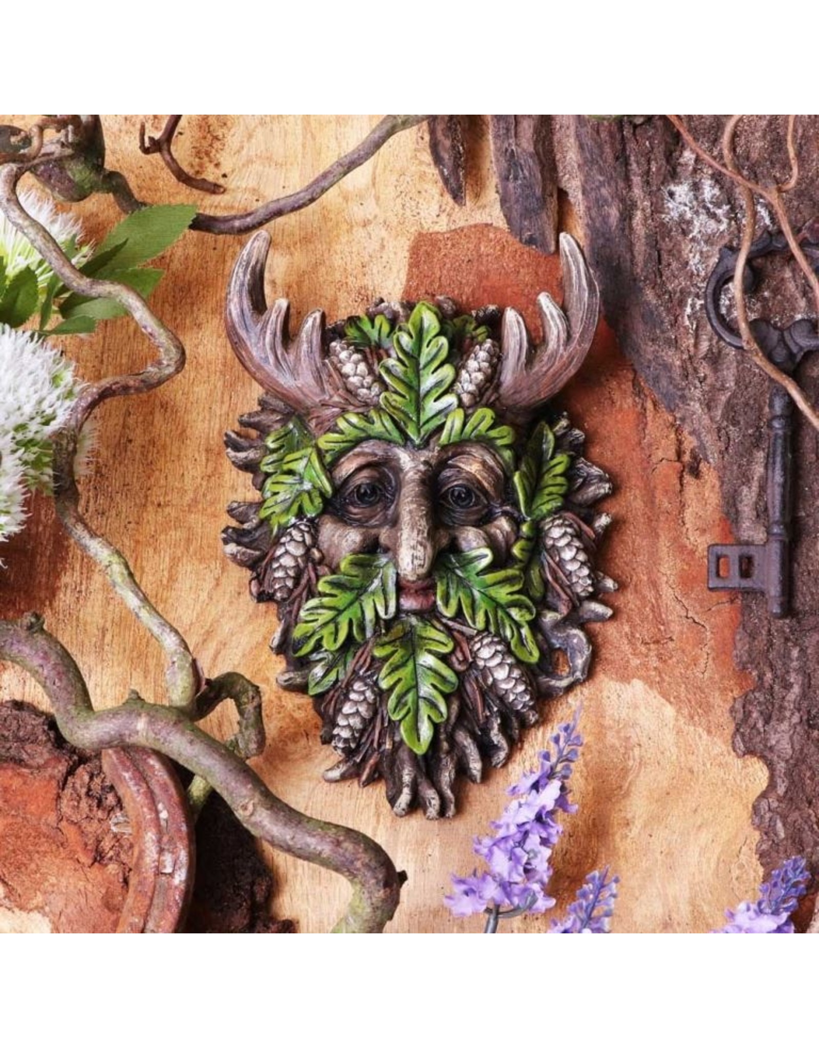 NemesisNow Miscellaneous - Bryn Wall Mounted Tree Spirit 20.8cm