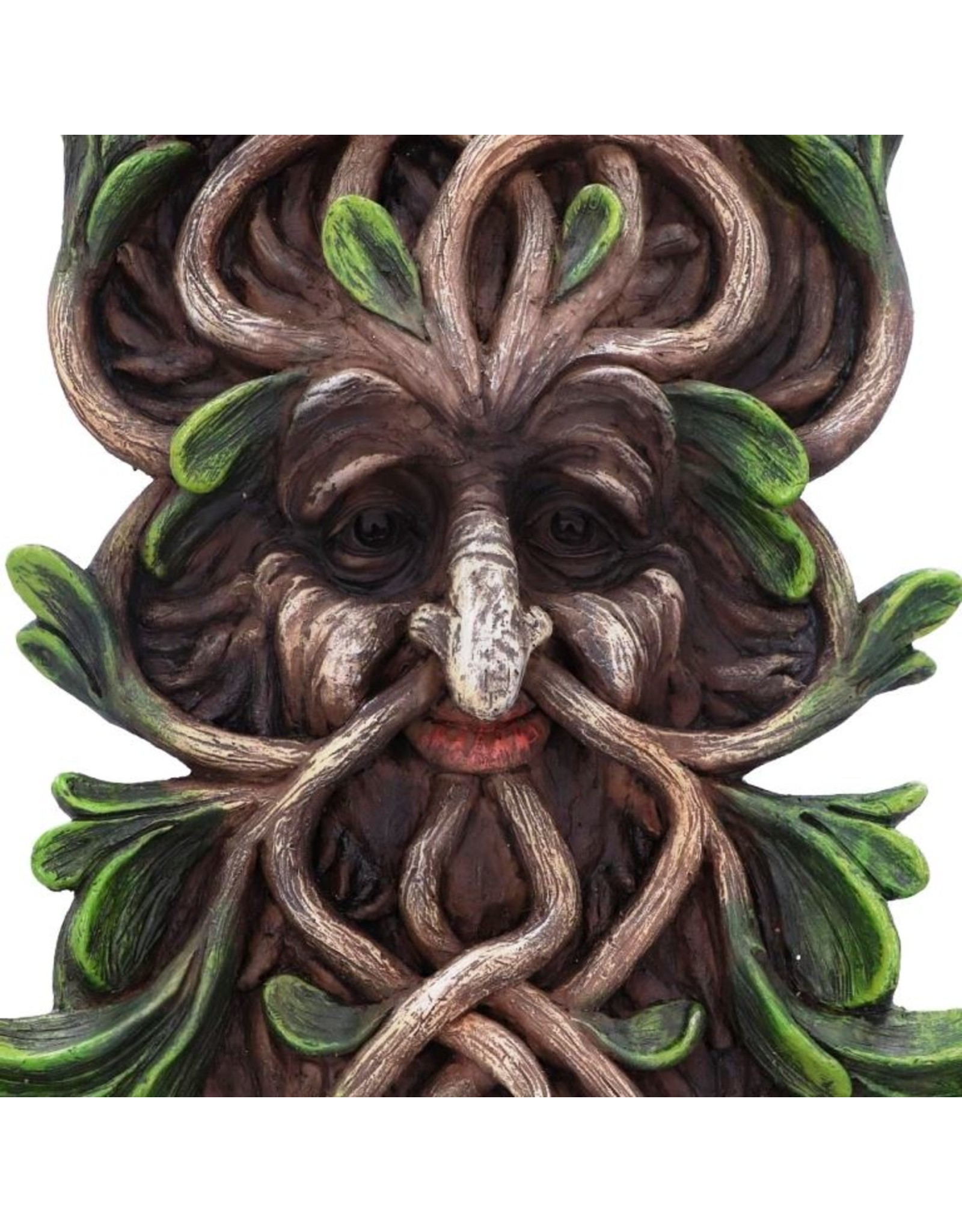 NemesisNow Miscellaneous - Tawnya Wall Mounted Tree Spirit 28.8cm