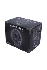 NemesisNow Giftware Figurines Collectables - Baphomet's Worship Skull 19,5cm