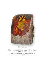 Trukado Miscellaneous -  Crab Fossil Cast in Resin