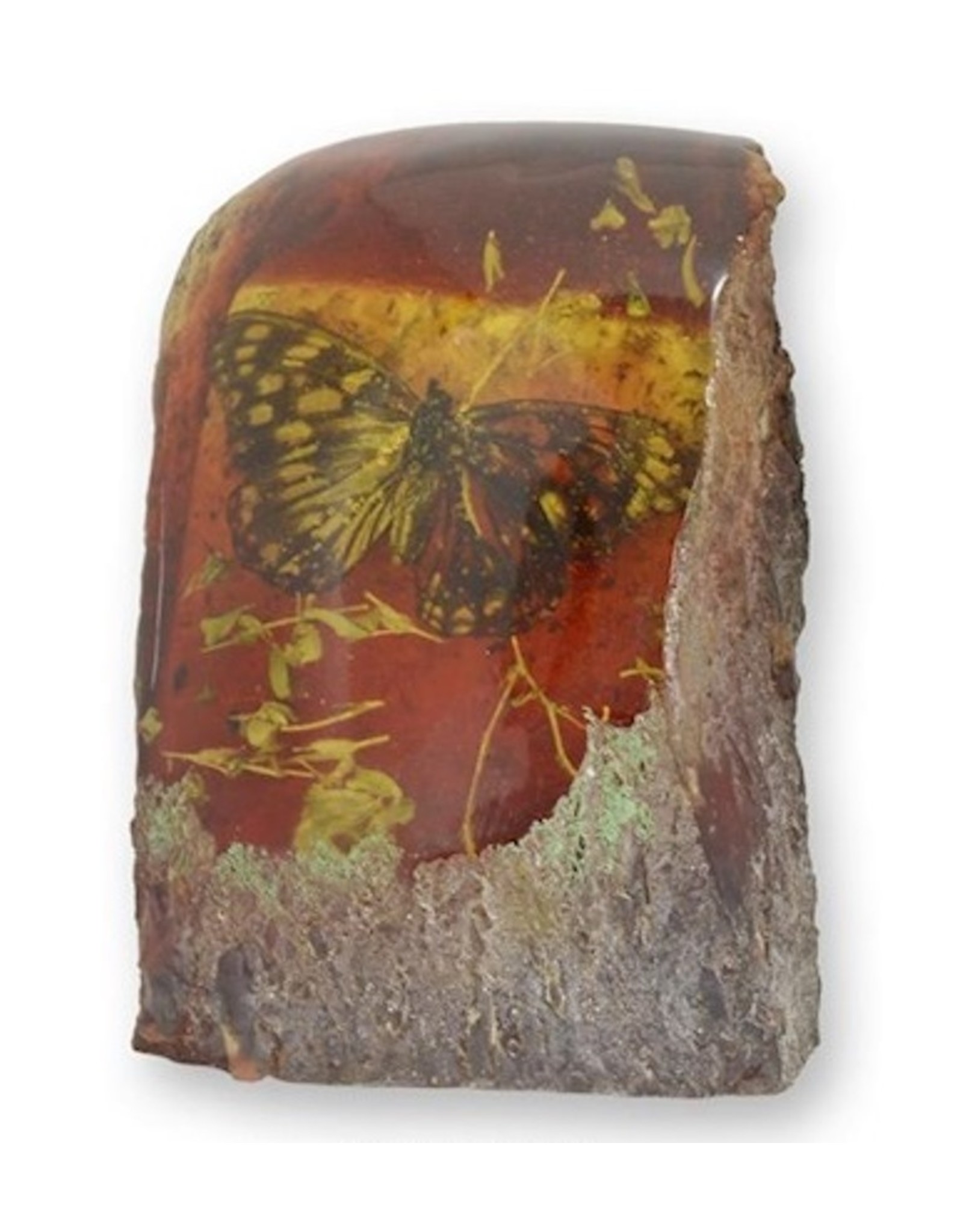 Trukado Miscellaneous -  Butterfly Fossil Cast in Resin 9cm