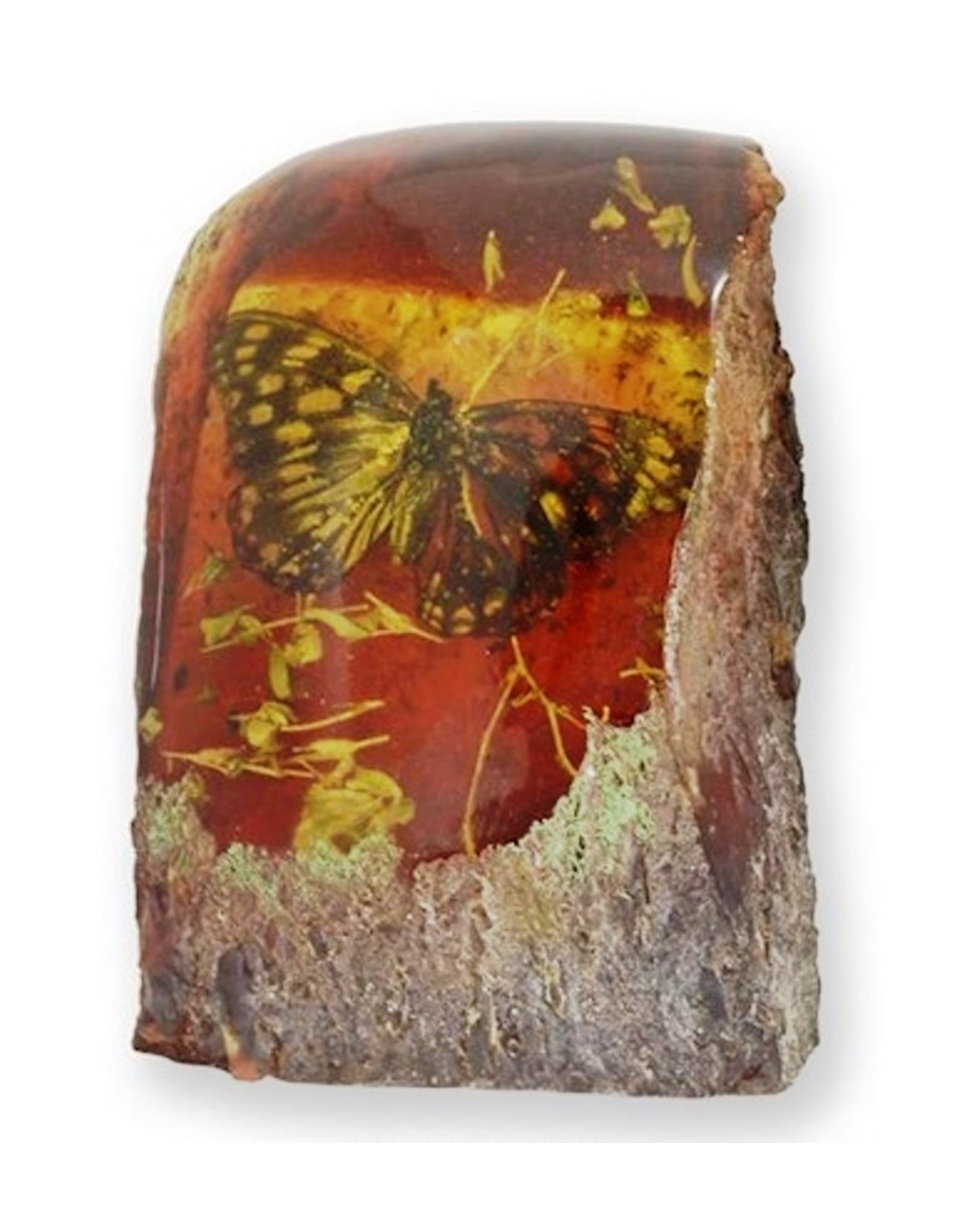 Butterfly Fossil Cast in Resin | Boutique Trukado - Bags Boutique Trukado