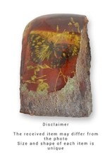 Trukado Miscellaneous -  Butterfly Fossil Cast in Resin 9cm