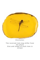 Trukado Miscellaneous - Dragonfly Fossil Cast in Resin 11cm