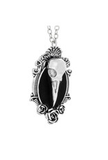 Trukado Jewellery - Dr. Faust Plaque Doctor Raven Skull Necklace