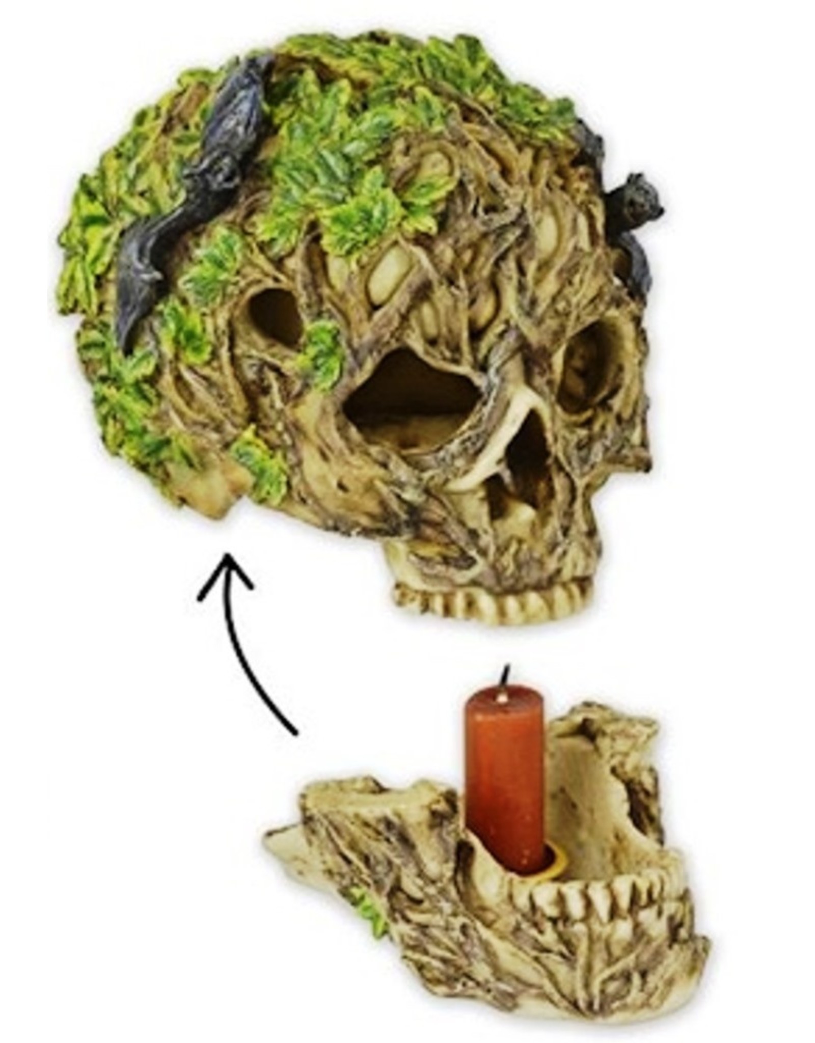 Trukado Miscellaneous -  Schedel met Vleermuizen Kaarsenhouder