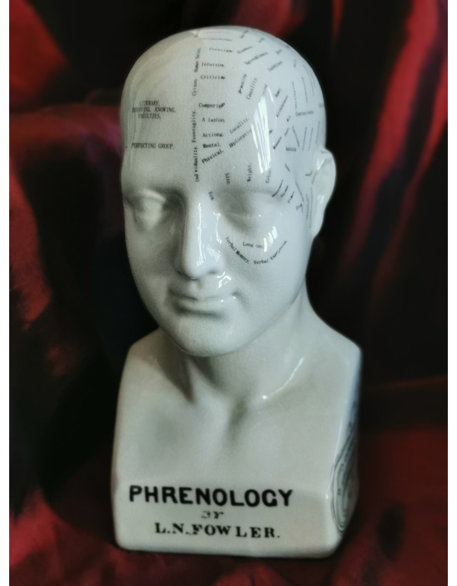 Trukado Miscellaneous -  Phrenology Keramiek Hoofd Large (23cm)