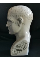 Trukado Miscellaneous - Phrenology  Ceramic Head Large (23cm)