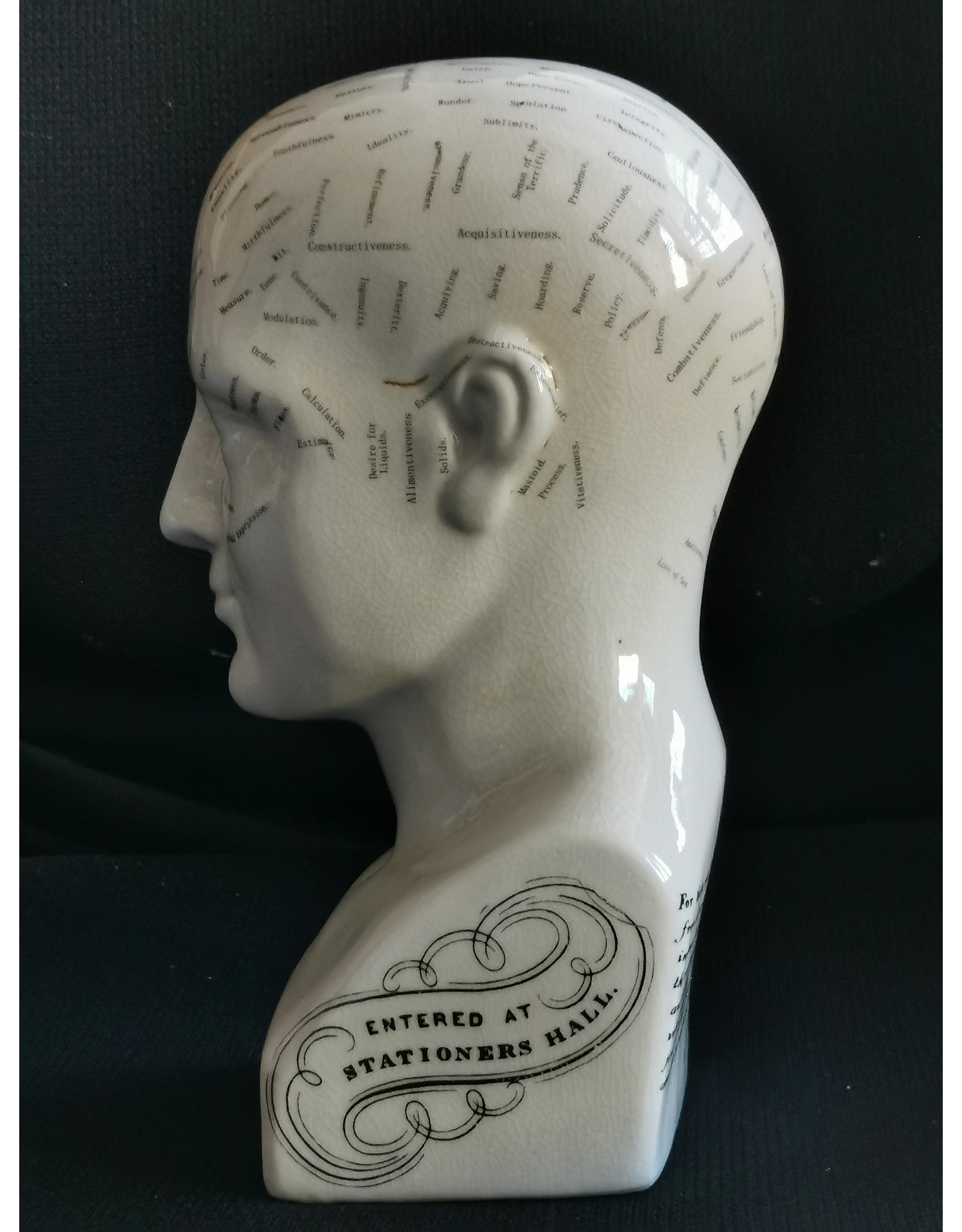 Trukado Miscellaneous -  Phrenology Keramiek Hoofd Large (23cm)