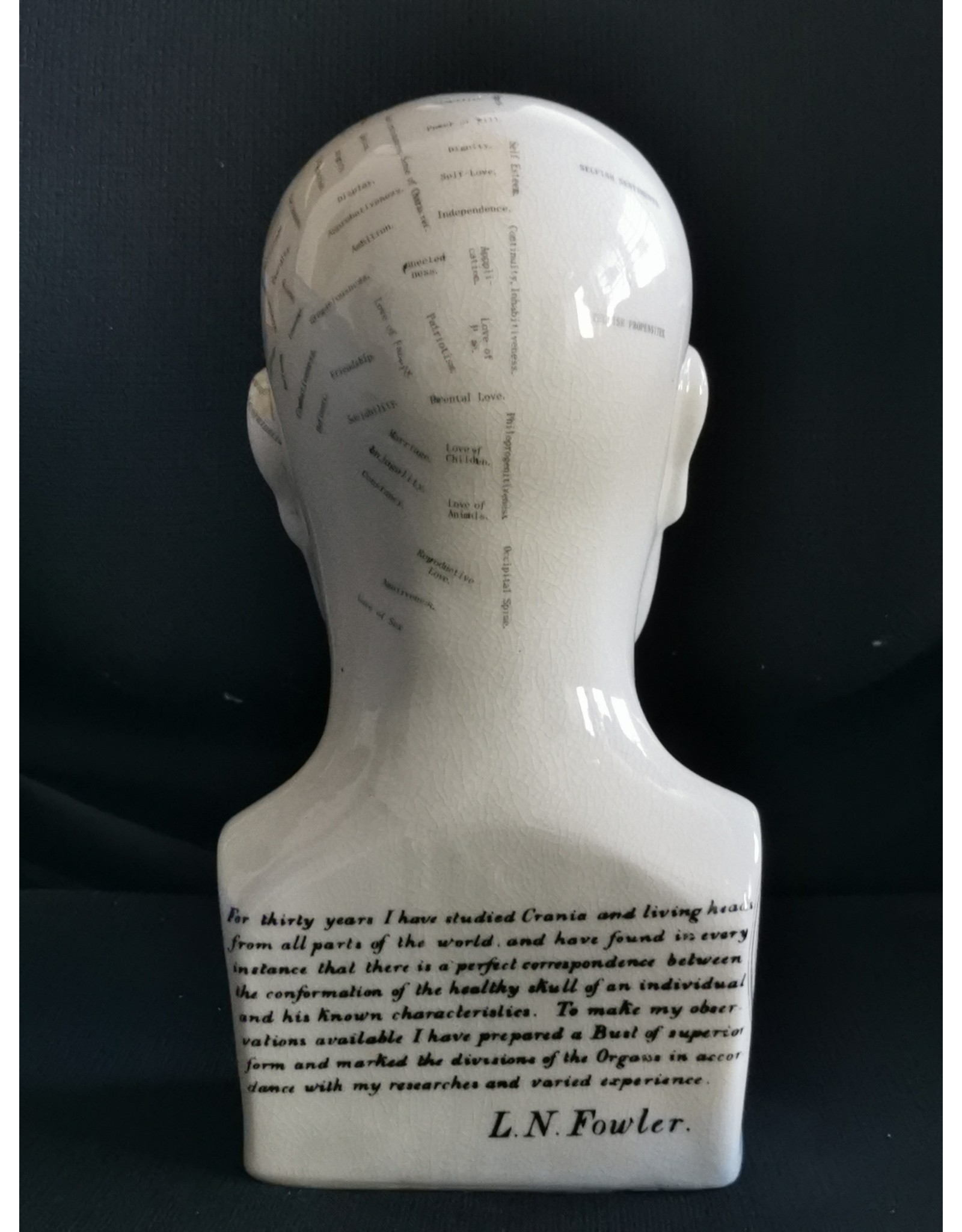 Trukado Miscellaneous - Phrenology  Ceramic Head Large (23cm)