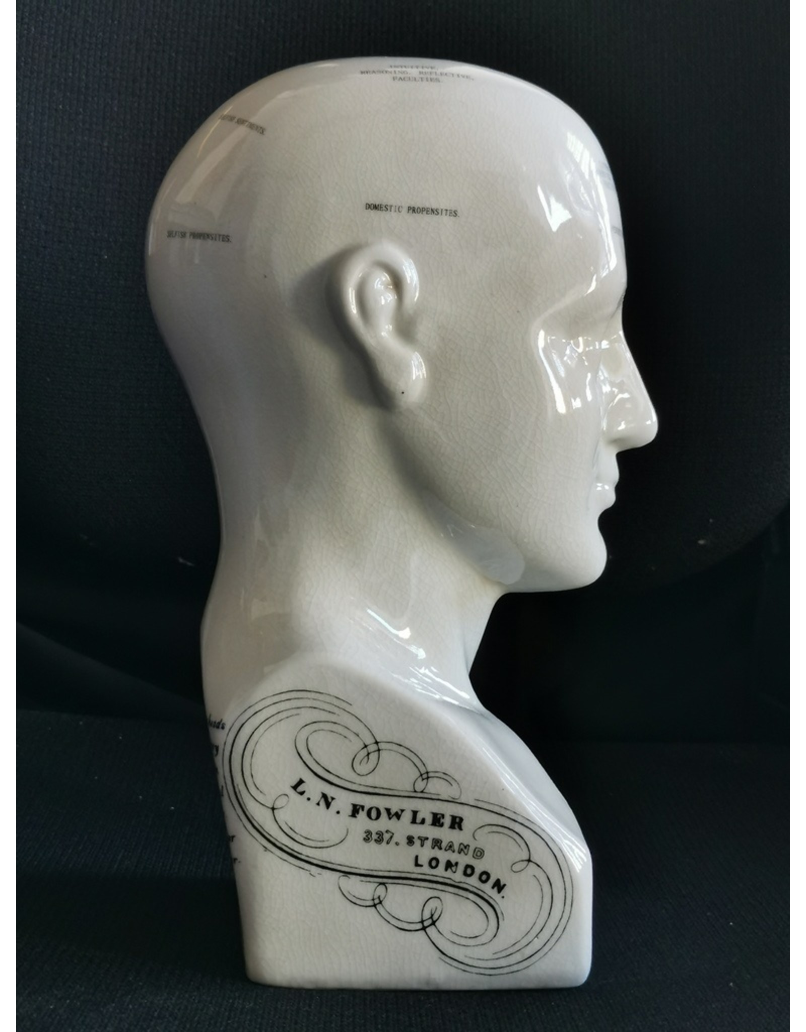 Trukado Miscellaneous -  Phrenology Keramiek Hoofd Large (23cm)