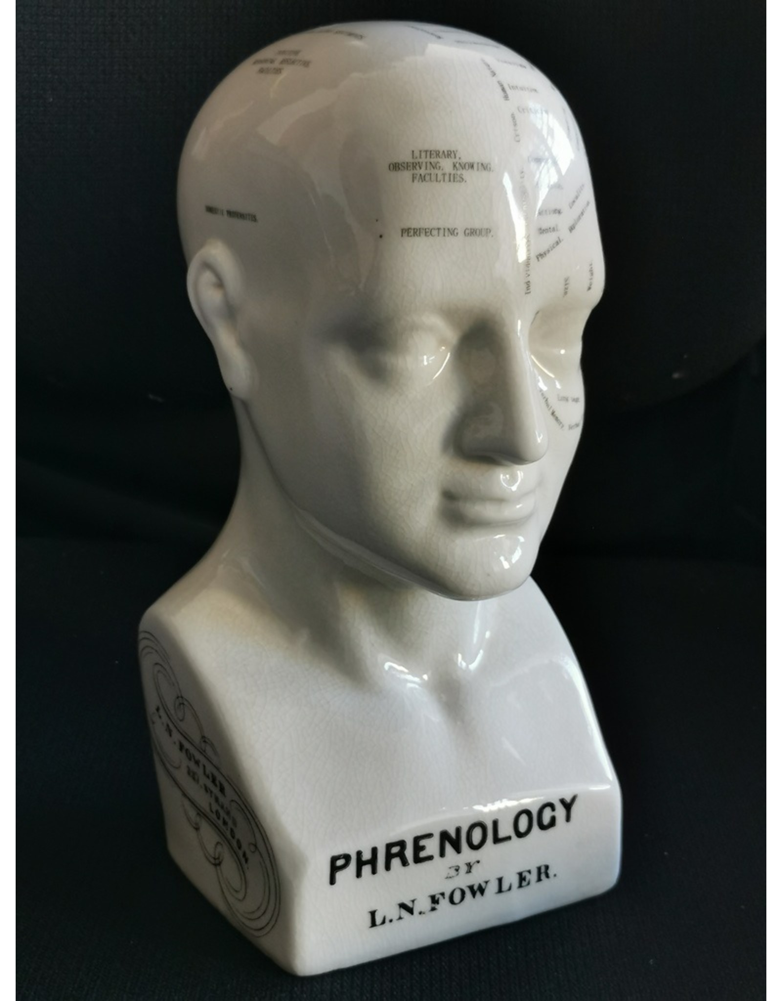 Trukado Miscellaneous - Phrenology  Ceramic Head Large (23cm)