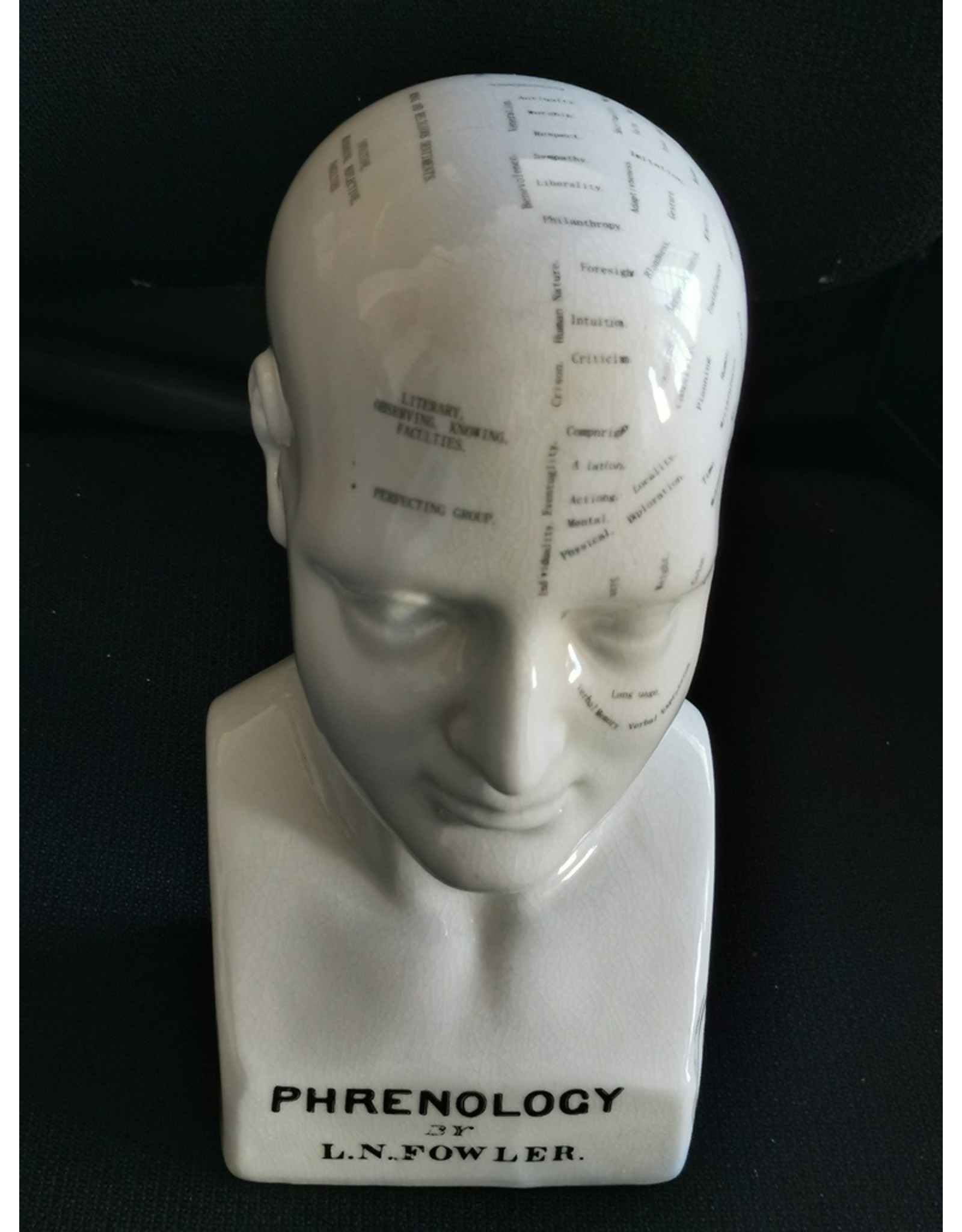 Trukado Miscellaneous -  Phrenology Keramiek Hoofd Large (23cm)