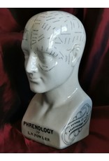 Trukado Miscellaneous -  Phrenology Keramiek Hoofd Large (23cm)