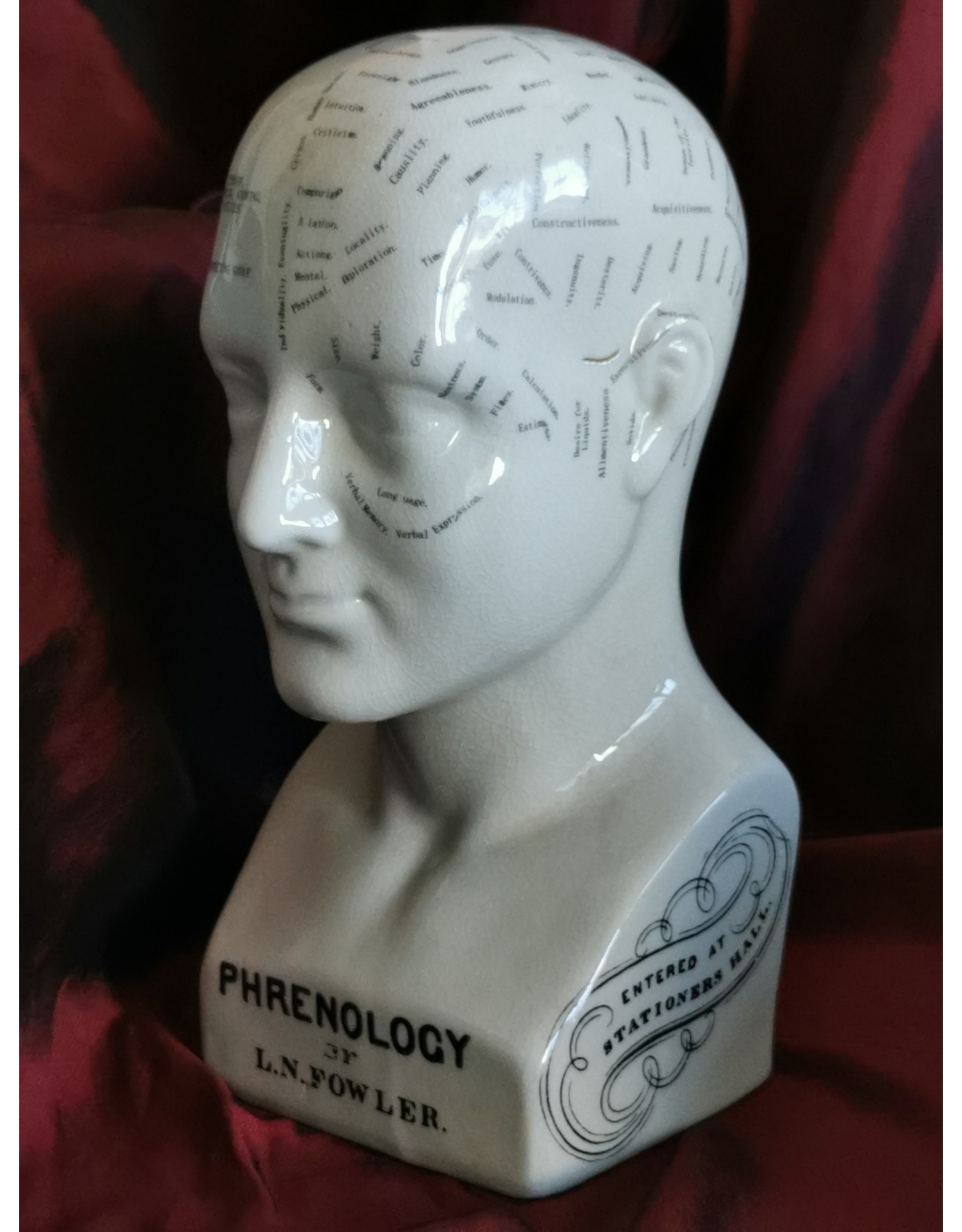 Trukado Miscellaneous -  Phrenology Keramiek Hoofd Large (23cm)