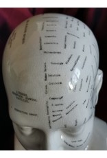 Trukado Miscellaneous - Phrenology  Ceramic Head Large (23cm)