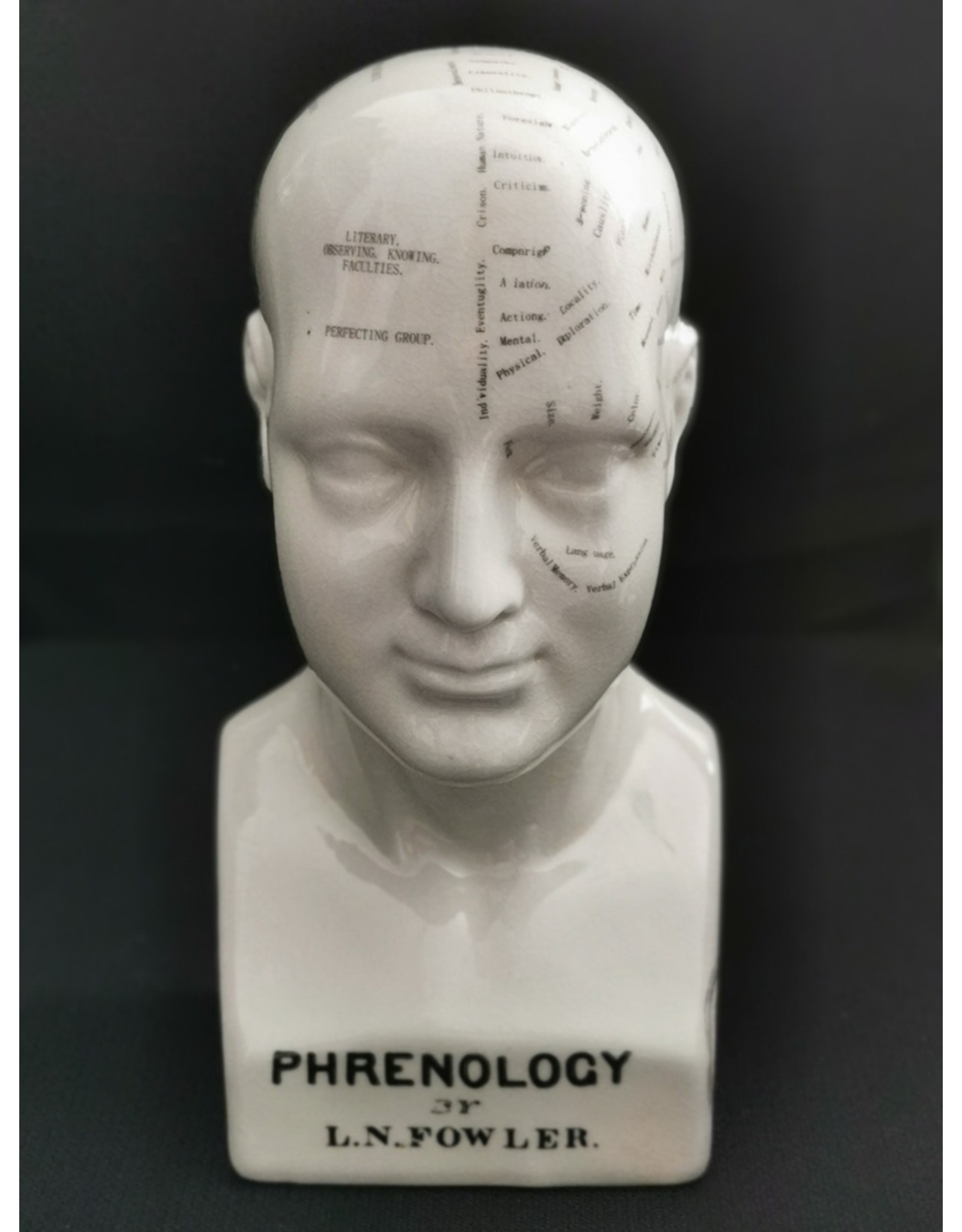 Trukado Miscellaneous -  Phrenology Keramiek Hoofd Large (23cm)