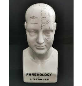 Trukado Phrenology  Ceramic Head Large (23cm)