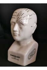 Trukado Miscellaneous - Phrenology  Ceramic Head Medium (20cm)