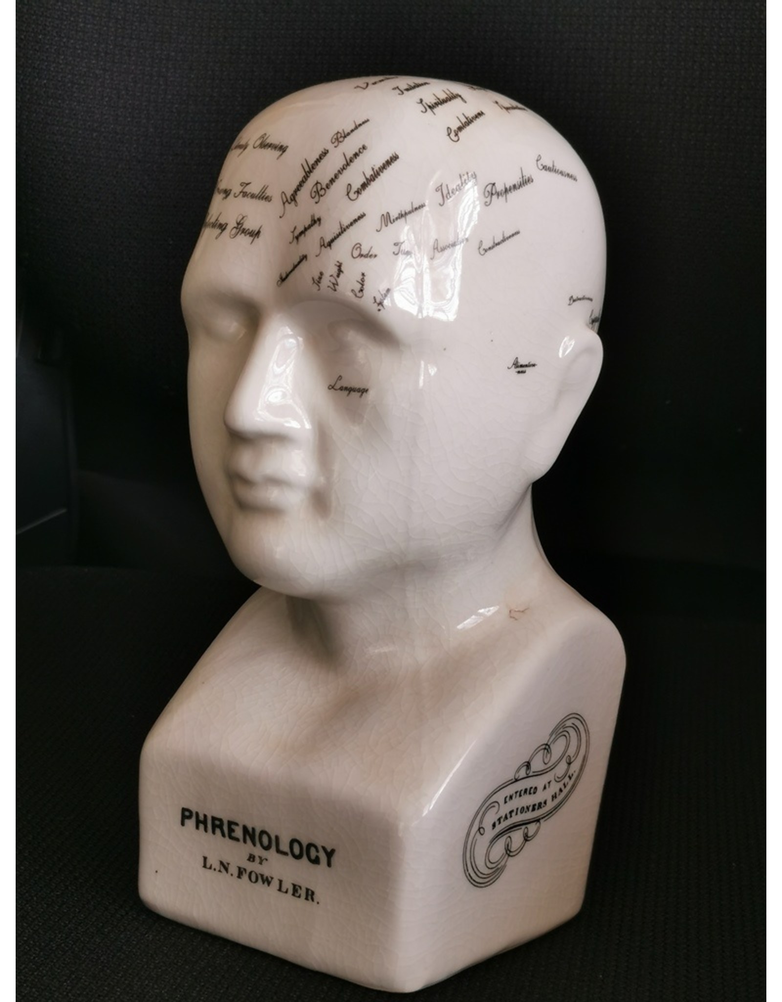 Trukado Miscellaneous - Phrenology  Ceramic Head Medium (20cm)