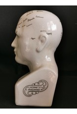 Trukado Miscellaneous - Phrenology  Ceramic Head Medium (20cm)